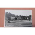 Shaws Real Photo Postcard - Trentham Gardens, S...