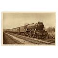Yorkshire Pulman (E Region), 9.15am Newcastle T...