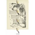 Shoe Prints (1), Victorian Poetry, Book Illustr...