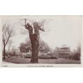 Chapelfield Gardens Norwich Norfolk Postcard (N...