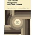 Vienna Circle Collection: Prolegomena to a Critical Grammar