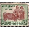 AUSTRALIA, MAMMALS, Calf, Young Farmers, green ...