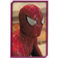 Merlin's Spider-Man (2002) Sticker Collection -...
