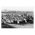 pu3038 - Yorks - Woodlands Children gather at t...