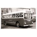 Black & White Photograph of Wilts & Dorset Moto...