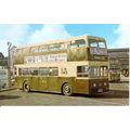 Dawlish Museum - Colour Postcard of Western Nat...