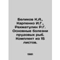 Belikov K.A., Karpenko I.G., Rakhmatulin R.G. M...