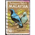 MALAYSIA, BIRDS, Asian Fairy Bluebird, 1965 lig...