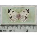 1927 Wills British Butterflies No. 42 Bath White