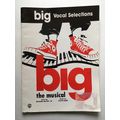 BIG - THE MUSICAL (SONGBOOK, 1996)