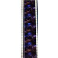 Back to the Future 2. Pk HCH - C067o . - 1 STRI...