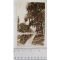 vintage postcard Hythe Canal ref.2