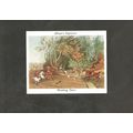Players Old Hunting Prints 1938 #16 Breaking Cover
