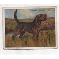 1914 original Wills Dogs 1st A Series large car...