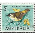 AUSTRALIA, BIRD, Yellow-Tailed Thornbill, green...