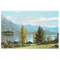 LAKE WANAKA and RUBY ISLAND used postcard 1974 ...