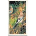 Woodland Wildlife 1980 Brooke Bond Tea Card 5 -...