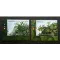 Aromatic Plants Malaysia 2012 Flower Tree (stam...