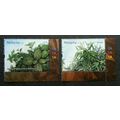 Aromatic Plants Malaysia 2012 Tree Flower (stam...