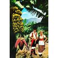 Tenerife Bananas Costume Fashion Traditional La...