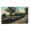 Castle Gardens, Dunoon, Postcard.