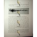 Port Said, Egypt, Book Illustration (Print), 1890