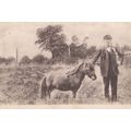 Pony Dick Guiness Book Of Records Smallest Ever...