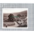 (6877) Thwaite - Cutting