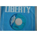 A3-BONZO DOG DOO-DAH BAND-I’M THE URBAN SPACEMA...