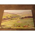 Valentines Postcard - Skirl Naked Nr Wooler Nor...