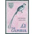 Gambia 1966 £1 Pin-tailed Whydah SG245 MNH