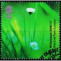 Great Britain. 2000 45p S.G.2150 Used