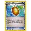 Pokemon XY Fates Collide 106/124 Amber Aerodactyl