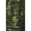 Ecclesbour Glen, Hastings, No 10 Mossman Postca...