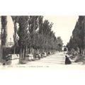 13 - ARLES - LES Alyscamps - L'ALLEE DES TOMBEAUX