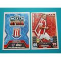 257. Marc Muniesa - Stoke City - Match Attax 20...