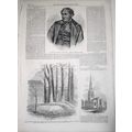 Tamati Waki, the New Zealand Chief & Battle of ...
