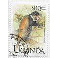 UGANDA 1999 L'HOESTI MONKEY MAMMAL PRIMATE FAUN...
