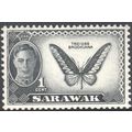 Sarawak 1950 - SG171 - 1c black - "Trogonoptera...