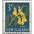 NEW ZEALAND, FLOWER, Kowhai, Sophora microphyll...