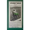 C2607) Starry Halo Horse Tyrley Castle Stud Wyr...