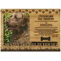 Chesapeake Bay Retriever Engraved Wood Picture ...