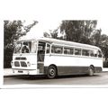 Black & White Photograph of Maidstone & Distric...