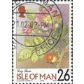 ISLE O MAN, FLOWER, Dog Rose. Rosa canina, red ...