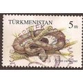 TURKMENISTAN, REPTILE, Echus Carinatus, Saw-sca...