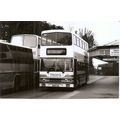 Black & White Photograph of Stagecoach South Co...