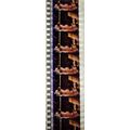 VAMPIRES. Pk MTP - b047u . 1 STRIP OF 5 - 35MM ...