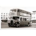 Black & White Photograph of Plymouth Corporatio...