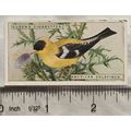 1924 Ogden's Foreign Birds No. 19 American Gold...