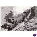 Railway Postcard SR Battle of Britain ILFRACOMB...
